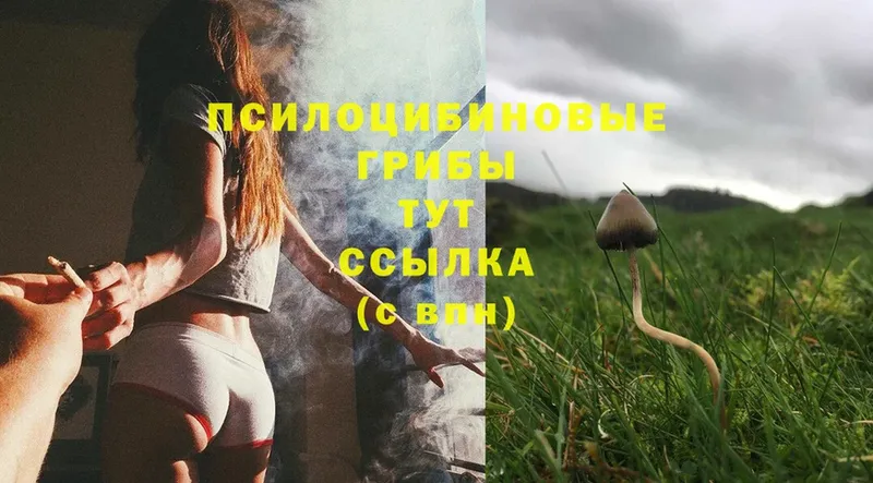 blacksprut как зайти  Нижний Ломов  Галлюциногенные грибы Magic Shrooms 